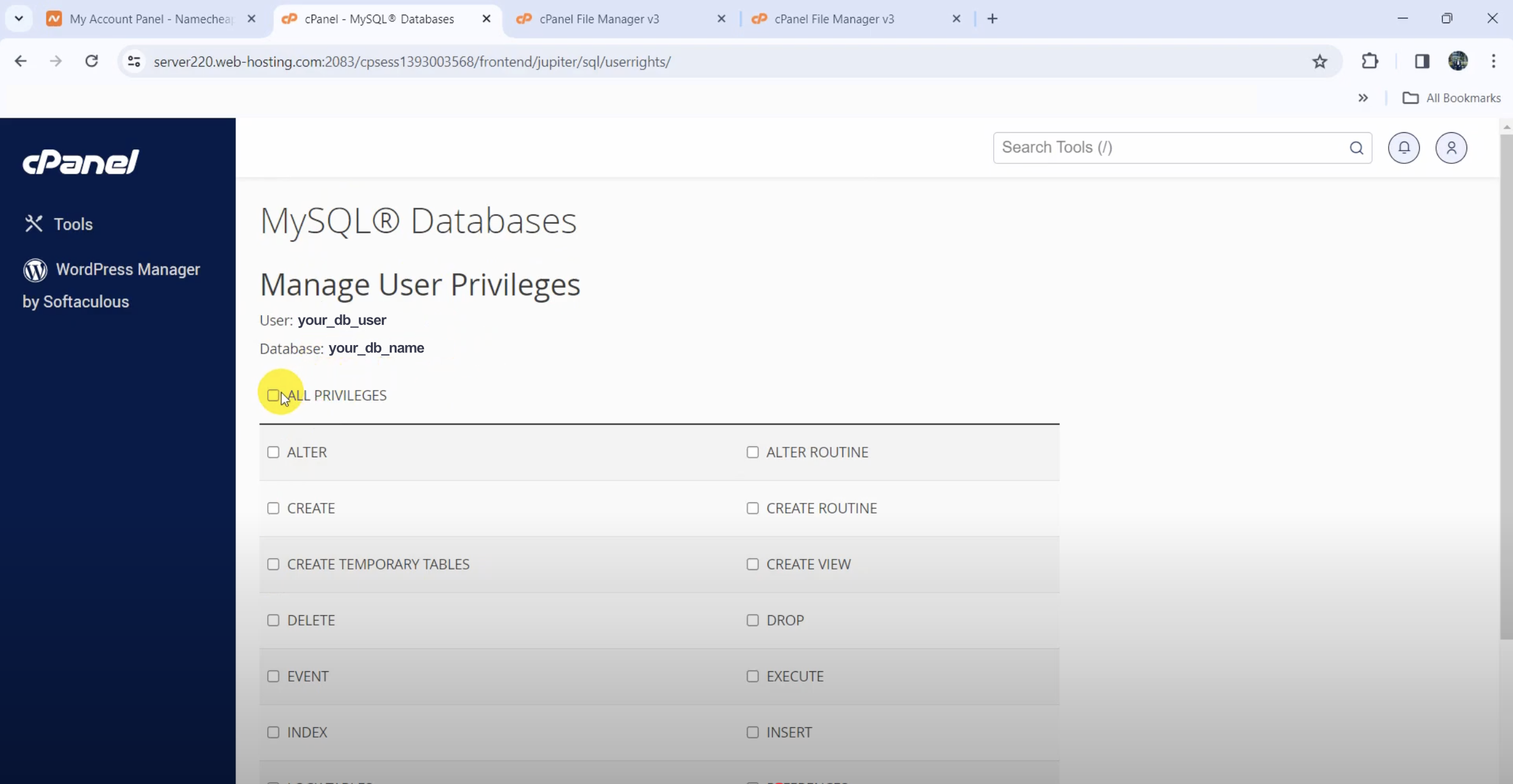 Database Privileges
